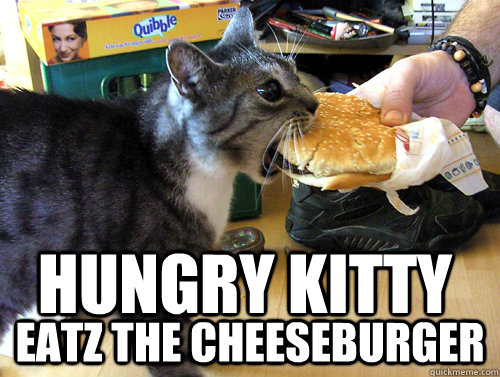 Hungry Kitty Eatz the cheeseburger  LOLCat