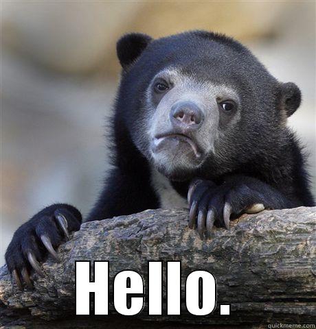  HELLO. Confession Bear