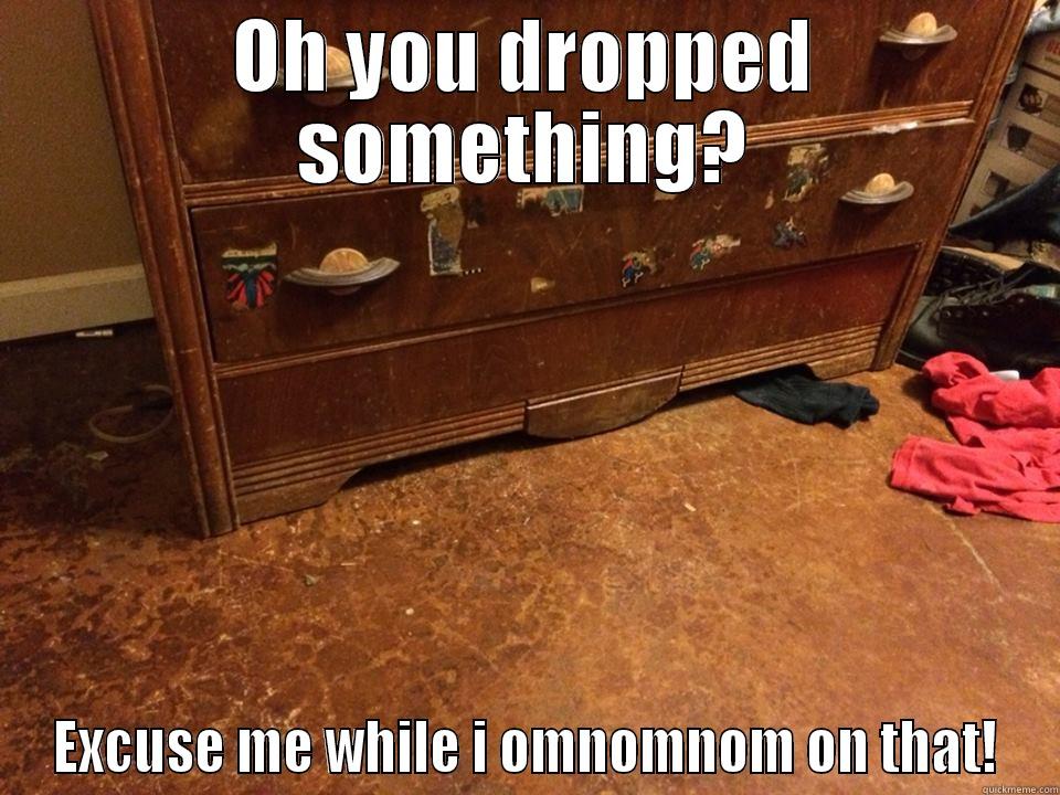 Oh you dropped something?  - OH YOU DROPPED SOMETHING? EXCUSE ME WHILE I OMNOMNOM ON THAT! Misc