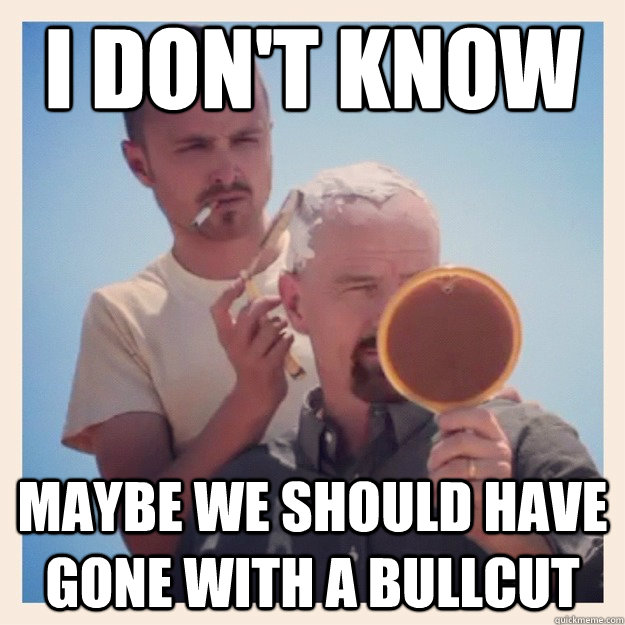 i don't know maybe we should have gone with a bullcut  