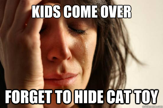Kids come over Forget to hide Cat toy  First World Problems