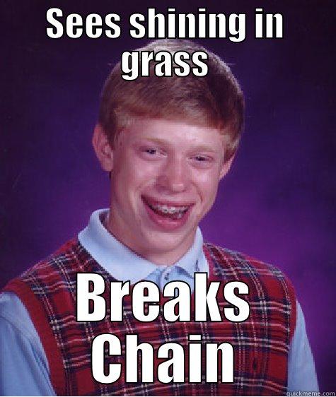 SEES SHINING IN GRASS BREAKS CHAIN Bad Luck Brian
