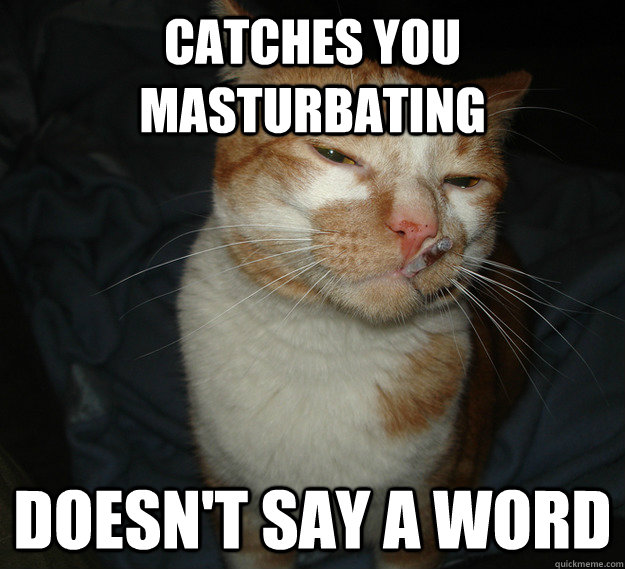 Catches you masturbating doesn't say a word  Cool Cat Craig