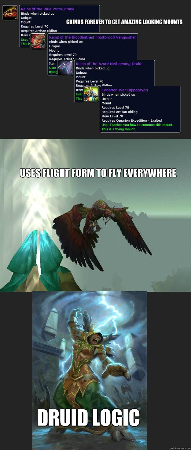 Grinds forever to get amazing looking mounts Uses flight form to fly everywhere druid logic  Druid logic
