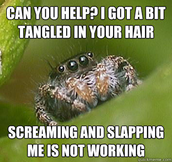 can you help? i got a bit tangled in your hair screaming and slapping me is not working - can you help? i got a bit tangled in your hair screaming and slapping me is not working  Misunderstood Spider