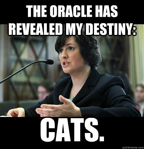 The oracle has revealed my destiny: Cats.  Sandy Needs