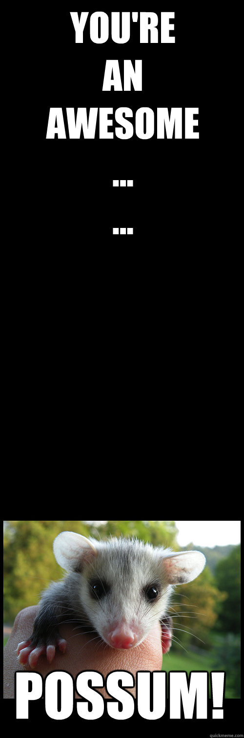 You're
an
Awesome
...
...
... Possum! - You're
an
Awesome
...
...
... Possum!  Awesome Possum