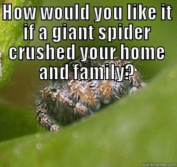 HOW WOULD YOU LIKE IT IF A GIANT SPIDER CRUSHED YOUR HOME AND FAMILY?  Misunderstood Spider