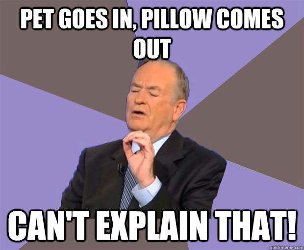 Pet goes in, pillow comes out can't explain that! - Pet goes in, pillow comes out can't explain that!  Bill O Reilly