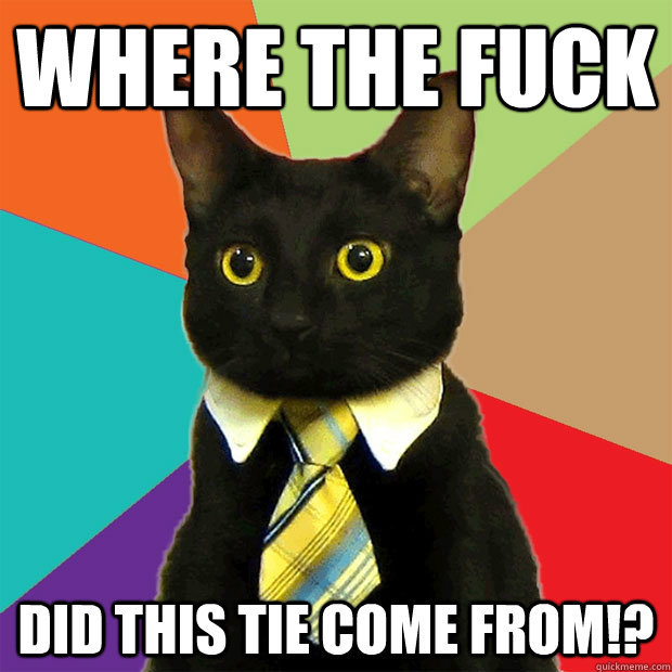 Where the fuck Did this tie come from!?  Business Cat