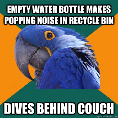 empty water bottle makes popping noise in recycle bin dives behind couch  Paranoid Parrot