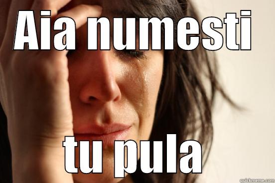 AIA NUMESTI TU PULA First World Problems