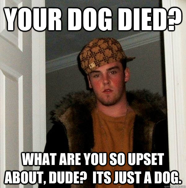 Your dog died? what are you so upset about, dude?  Its just a dog.  Scumbag Steve