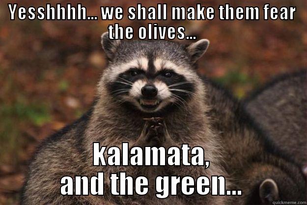 Olive fiend - YESSHHHH... WE SHALL MAKE THEM FEAR THE OLIVES... KALAMATA, AND THE GREEN... Evil Plotting Raccoon
