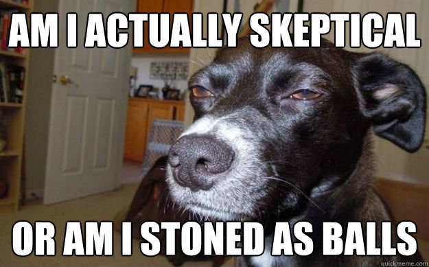 Am I actually skeptical or am i stoned as balls  Skeptical Mutt