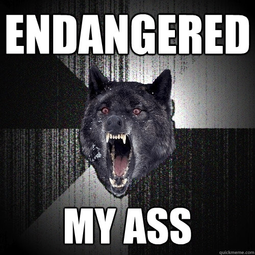 ENDANGERED MY ASS  Insanity Wolf