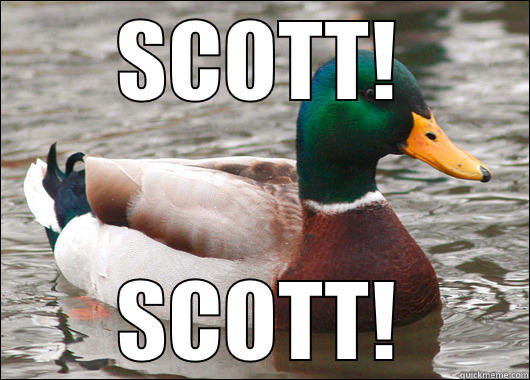 SCOTT! SCOTT! Actual Advice Mallard