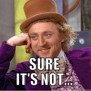  SURE IT'S NOT... Condescending Wonka