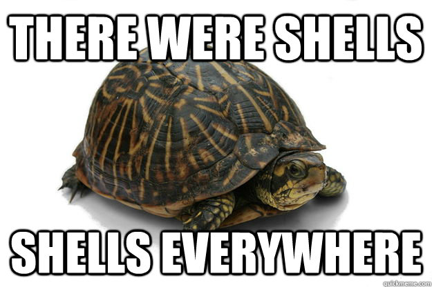 There were shells Shells everywhere - There were shells Shells everywhere  War Hero Turtle