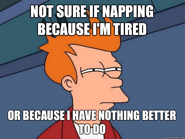 Not sure if napping because I'm tired Or because I have nothing better to do  Futurama Fry