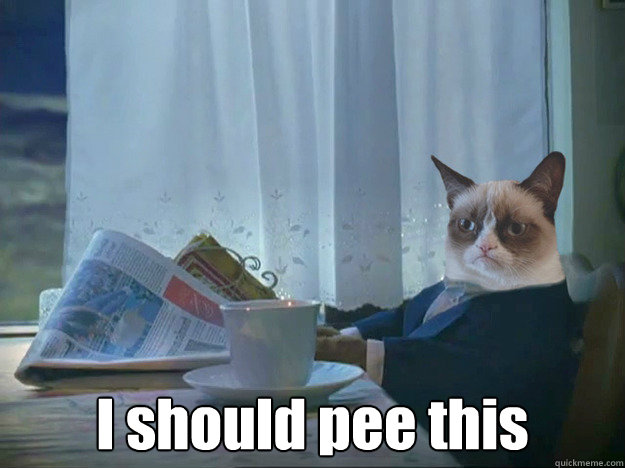  I should pee this  Grumpy Cat Thoughts