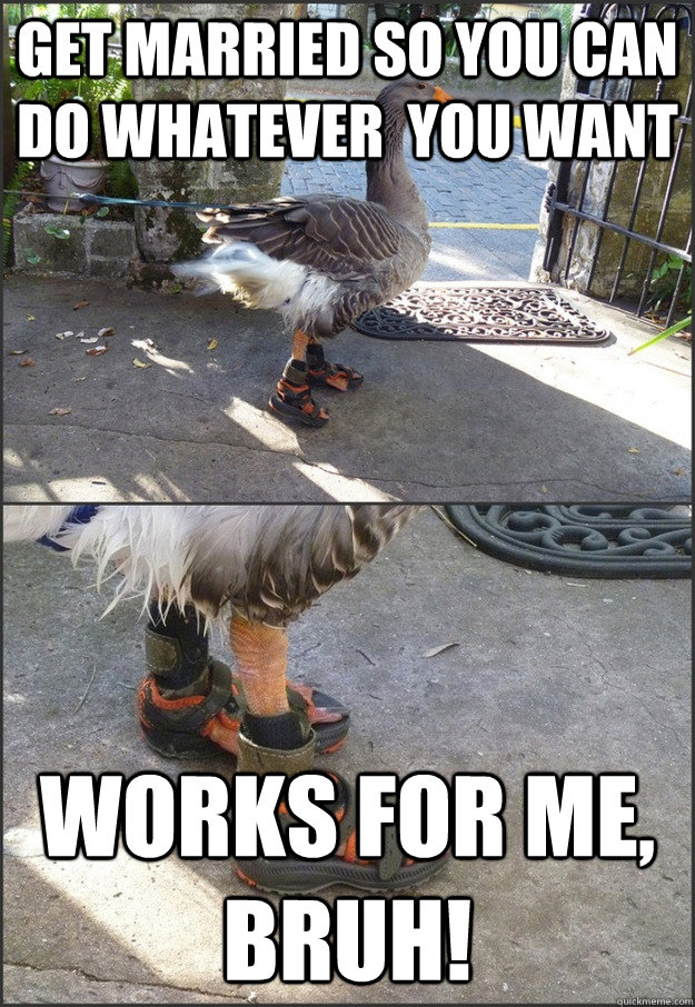 get married so you can do whatever  you want works for me, bruh!  Self-projection Advice Goose