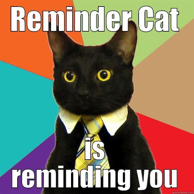 REMINDER CAT IS REMINDING YOU Business Cat