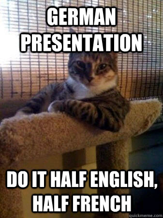 GERMAN PRESENTATION DO IT HALF ENGLISH, HALF FRENCH  The Most Interesting Cat in the World