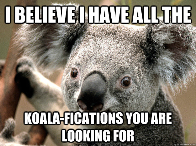 I believe i have all the  koala-fications you are looking for - I believe i have all the  koala-fications you are looking for  Bad Joke Koala