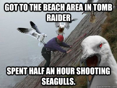 Got to the beach area in Tomb Raider Spent half an hour shooting seagulls. - Got to the beach area in Tomb Raider Spent half an hour shooting seagulls.  Seagull