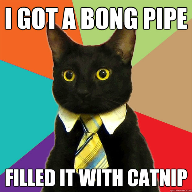 I got a bong pipe Filled it with catnip  Business Cat