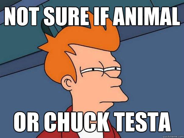 Not sure if animal Or Chuck testa  Futurama Fry