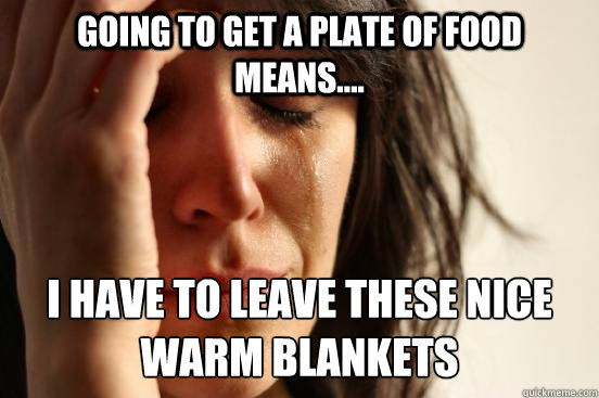 Going to get a plate of food means.... I HAVE TO LEAVE THESE NICE WARM BLANKETS - Going to get a plate of food means.... I HAVE TO LEAVE THESE NICE WARM BLANKETS  First World Problems
