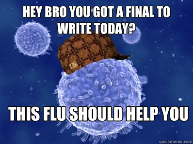 Hey bro you got a final to write today? this flu should help you  Scumbag immune system