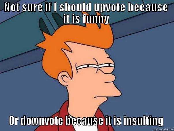 NOT SURE IF I SHOULD UPVOTE BECAUSE IT IS FUNNY OR DOWNVOTE BECAUSE IT IS INSULTING Futurama Fry