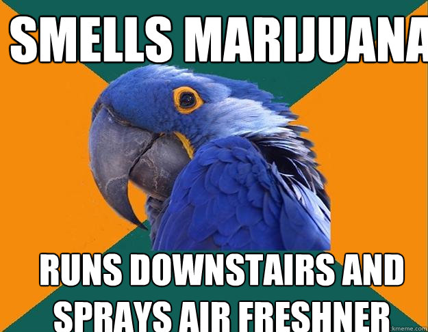Smells marijuana Runs downstairs and sprays air freshner  Paranoid Parrot