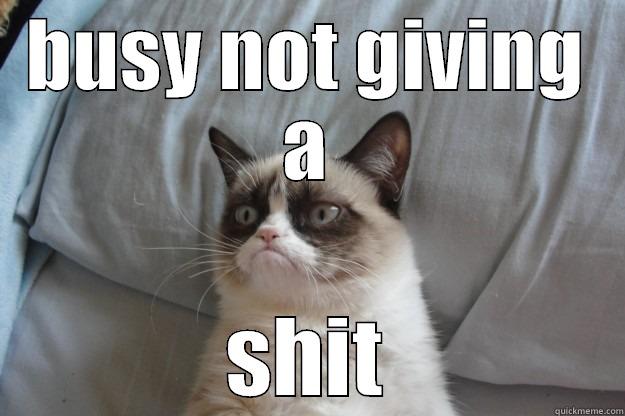 BUSY NOT GIVING A SHIT Grumpy Cat