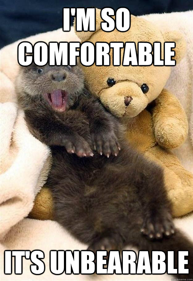 I'm so comfortable it's unbearable - I'm so comfortable it's unbearable  Misc