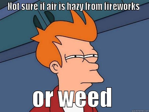 NOT SURE IF AIR IS HAZY FROM FIREWORKS OR WEED Futurama Fry