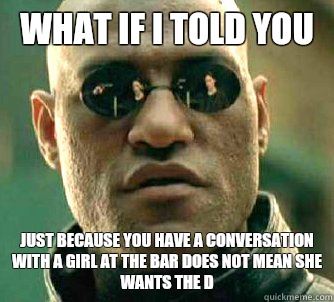 What if I told you Just because you have a conversation with a girl at the bar does not mean she wants the d  What if I told you