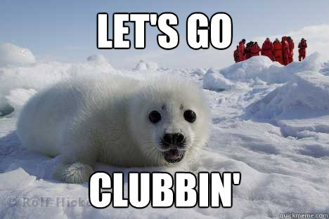 Let's go Clubbin'  Clubbing Seal