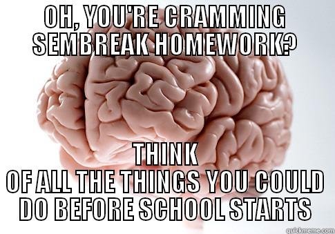OH, YOU'RE CRAMMING SEMBREAK HOMEWORK? THINK OF ALL THE THINGS YOU COULD DO BEFORE SCHOOL STARTS Scumbag Brain