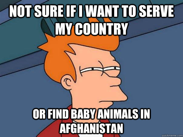 Not sure if I want to serve my country Or find baby animals in afghanistan  Futurama Fry