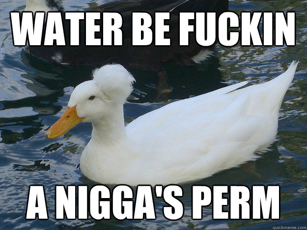 Water be fuckin a nigga's perm  