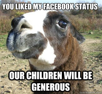 you liked my facebook status our children will be generous - you liked my facebook status our children will be generous  Drama Llama