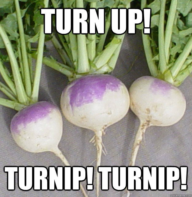 Turn up! turnip! turnip! - Turn up! turnip! turnip!  Misc