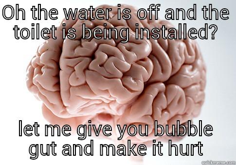 shit brain - OH THE WATER IS OFF AND THE TOILET IS BEING INSTALLED? LET ME GIVE YOU BUBBLE GUT AND MAKE IT HURT Scumbag Brain