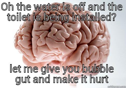 OH THE WATER IS OFF AND THE TOILET IS BEING INSTALLED? LET ME GIVE YOU BUBBLE GUT AND MAKE IT HURT Scumbag Brain