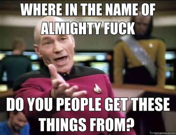 WHERE IN THE NAME OF ALMIGHTY FUCK DO YOU PEOPLE GET THESE THINGS FROM?   Annoyed Picard HD