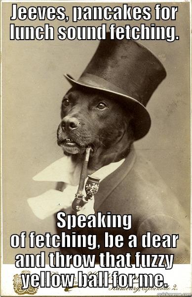 JEEVES, PANCAKES FOR LUNCH SOUND FETCHING. SPEAKING OF FETCHING, BE A DEAR AND THROW THAT FUZZY YELLOW BALL FOR ME. Old Money Dog